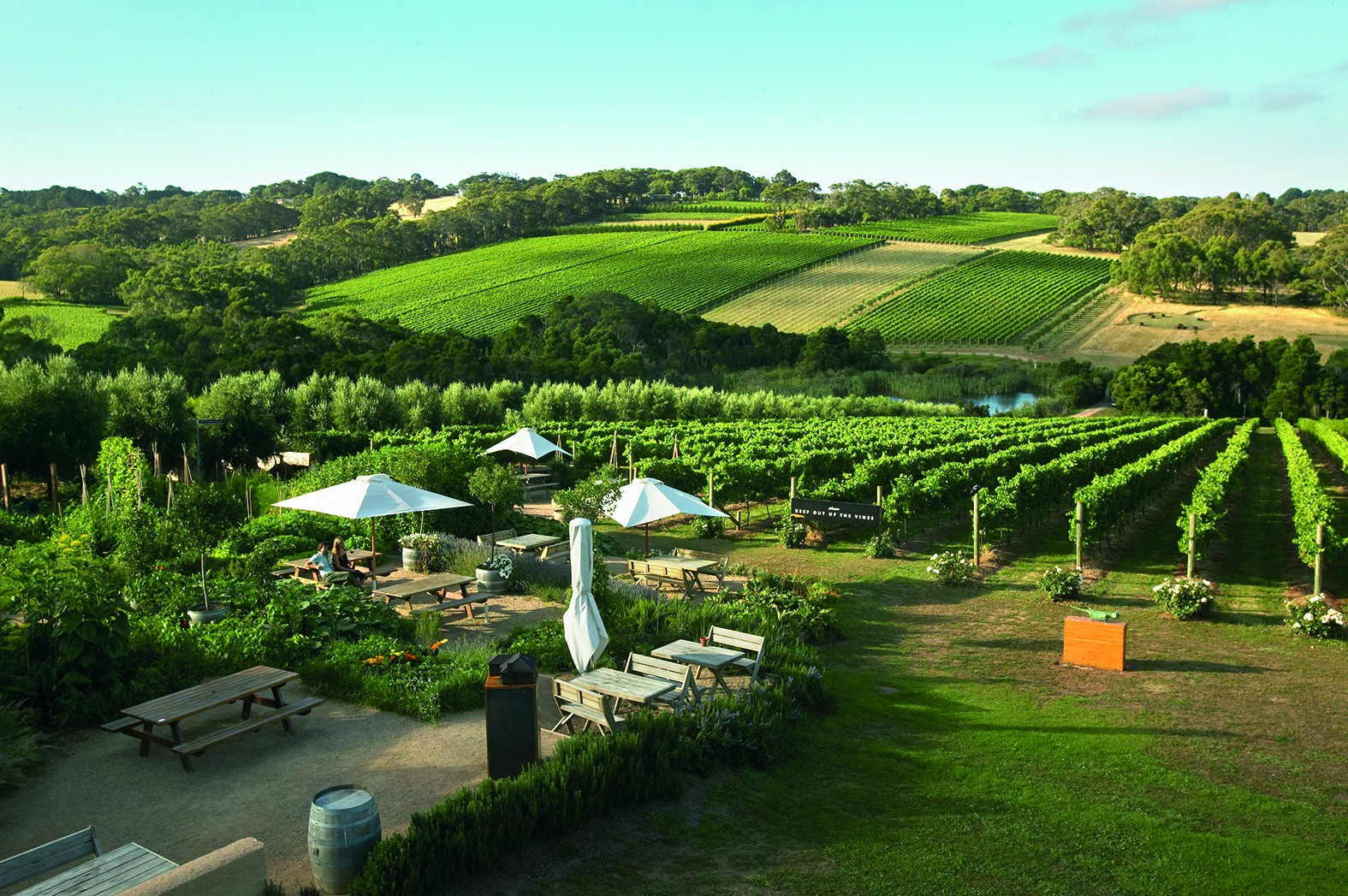 Au mornington peninsula vineyard discoverpage regions
