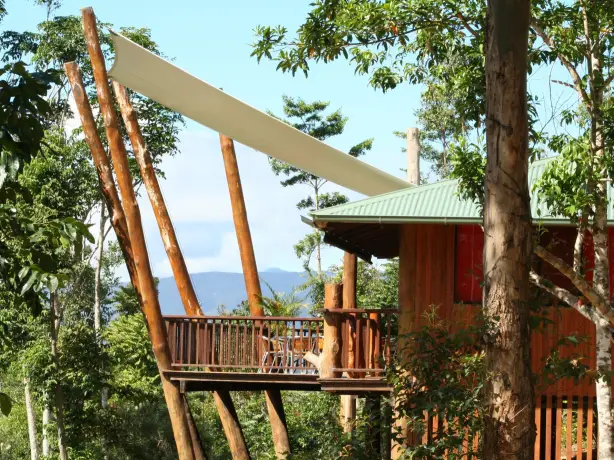 Baumhaus in Atherton Australien