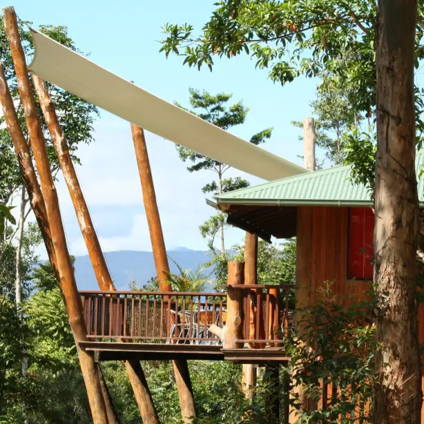 Baumhaus in Atherton Australien