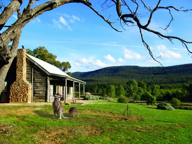 Australien victoria grampians cottage bed and breakfast känguru