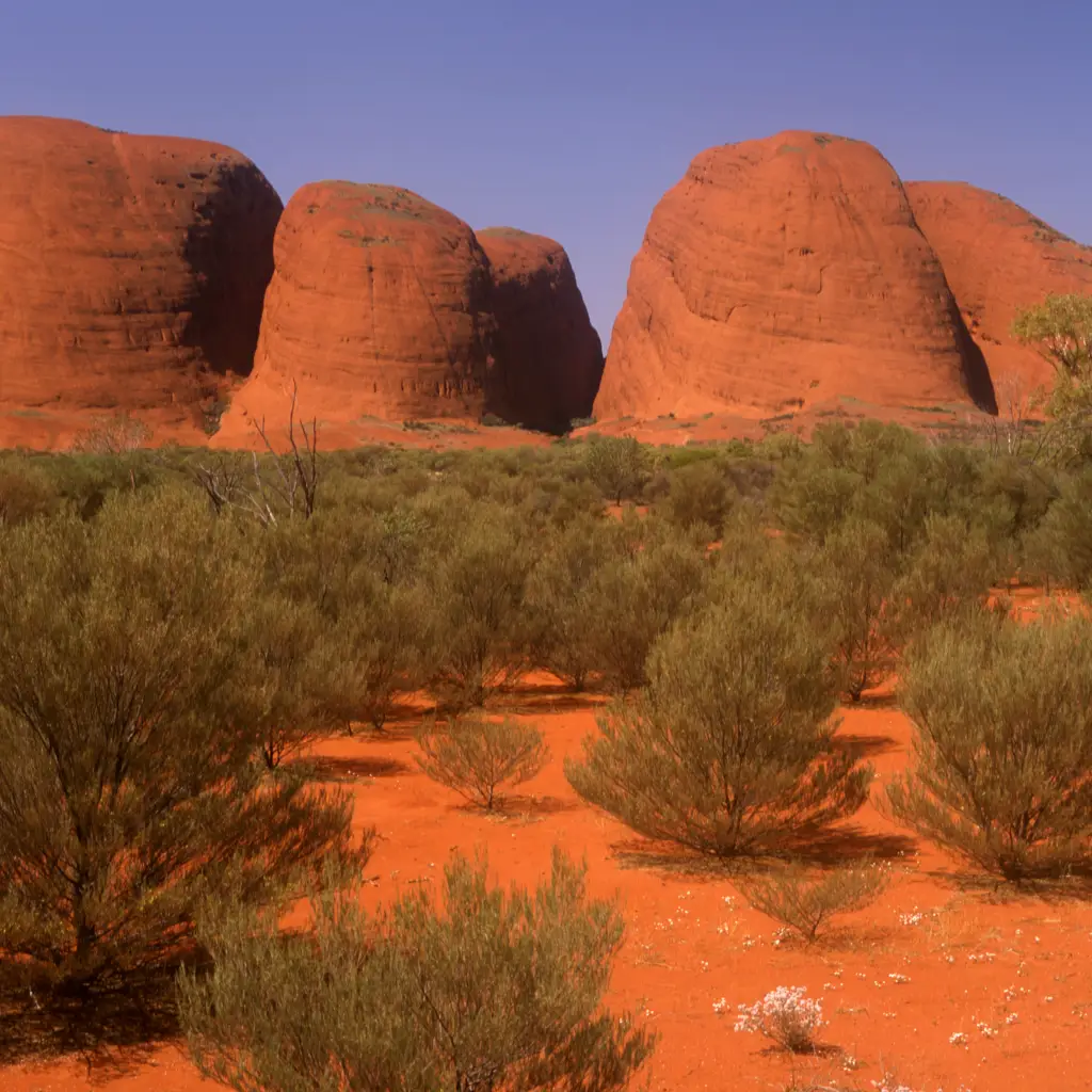 Australien The Olgas Kata Tjuta