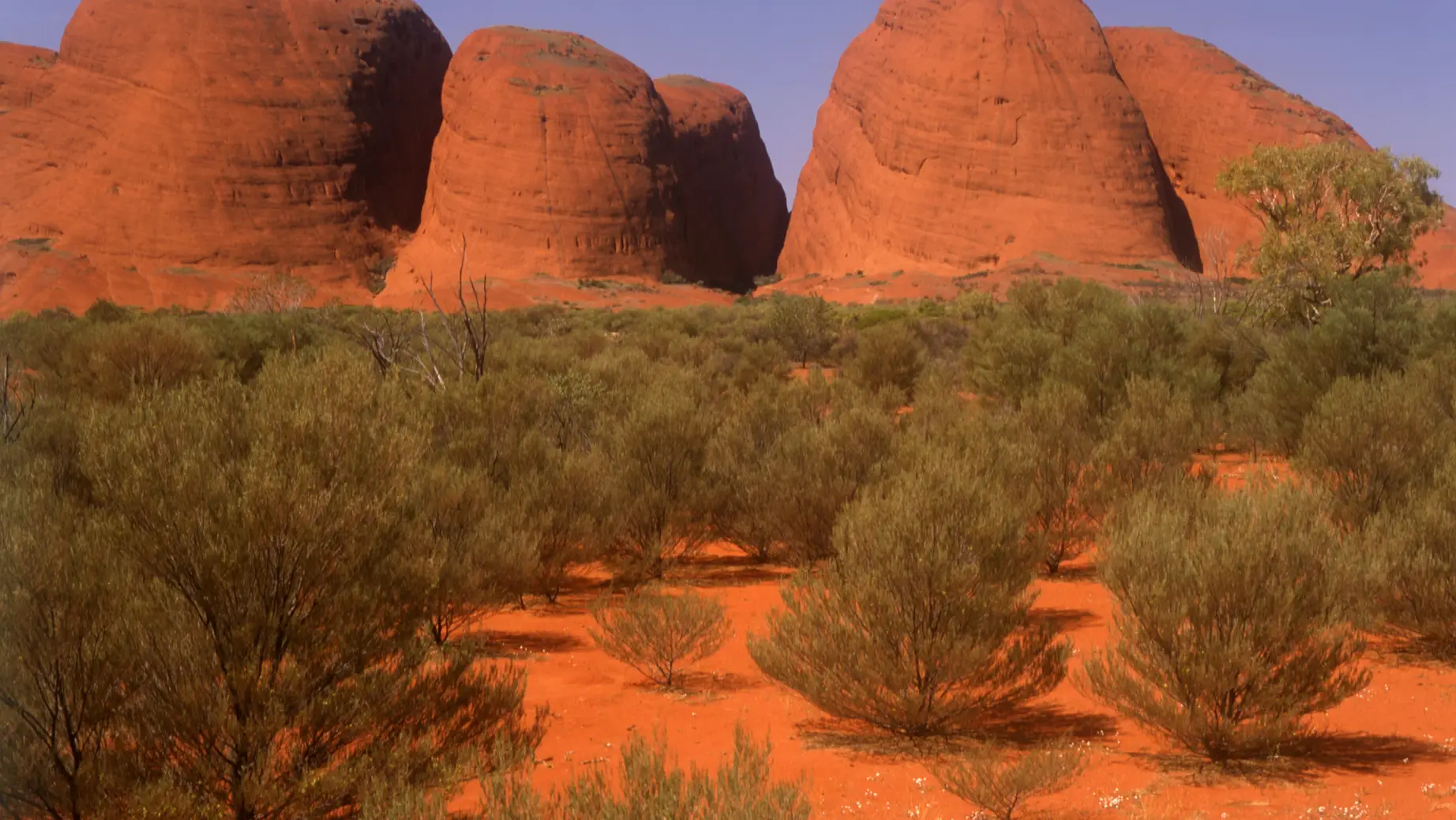 Australien The Olgas Kata Tjuta