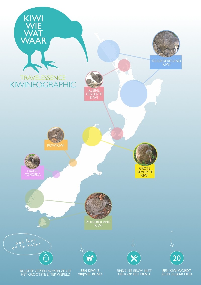 Kiwinfographic