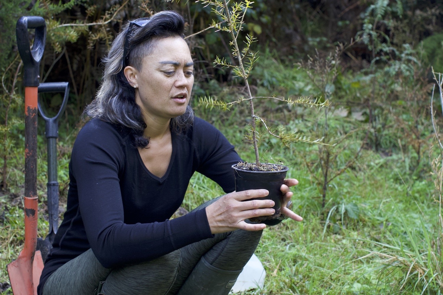 Man op reis nieuw zeeland travelessence te urewera maori boom planten