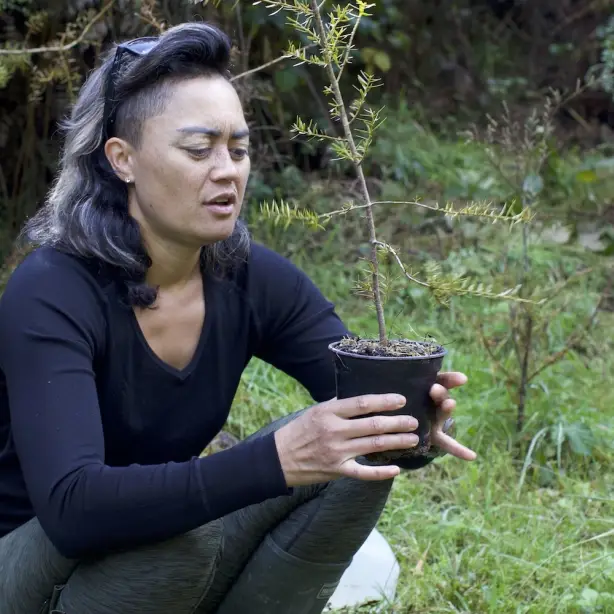 Man op reis nieuw zeeland travelessence te urewera maori boom planten