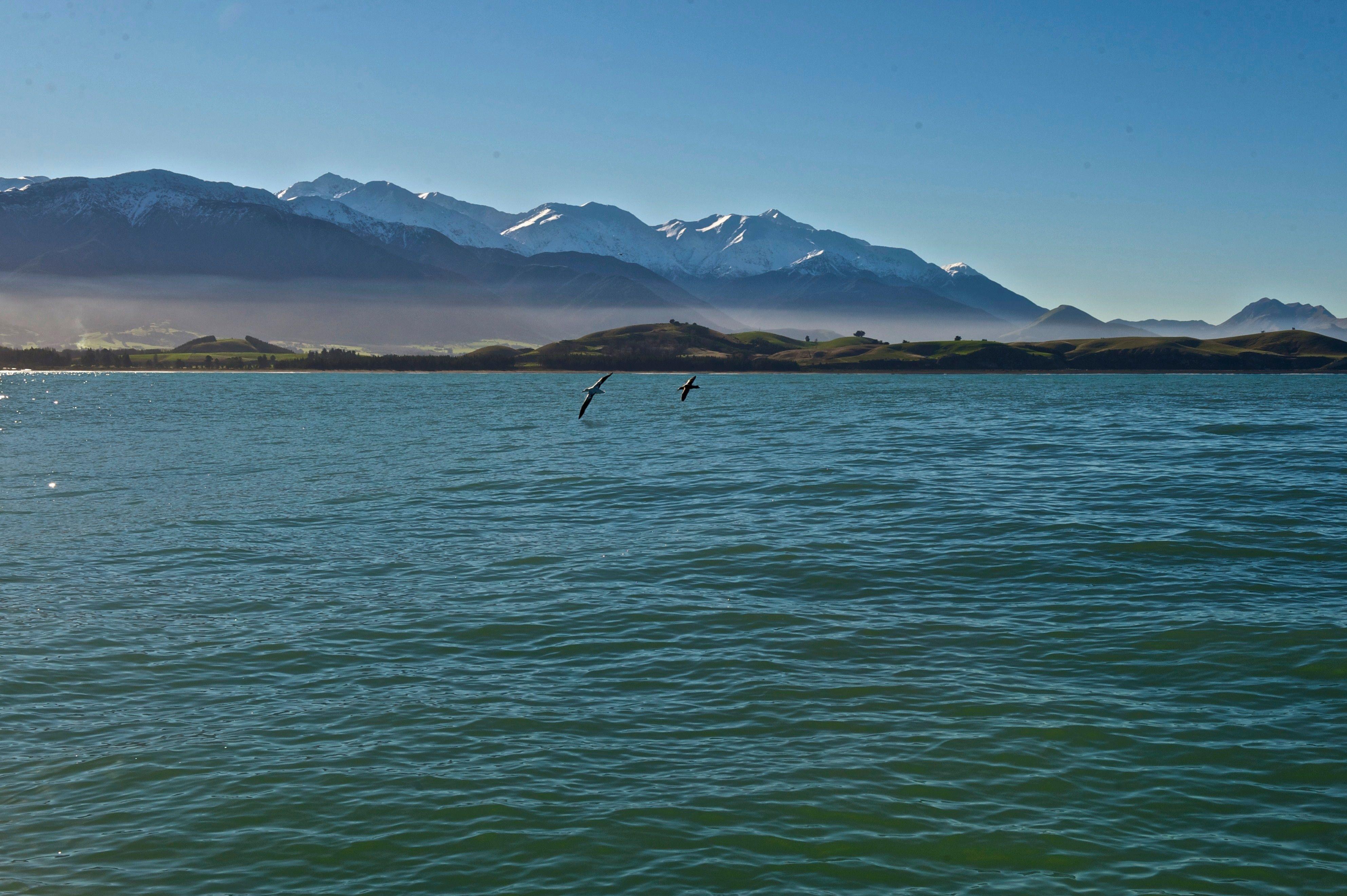 Kaikoura 33