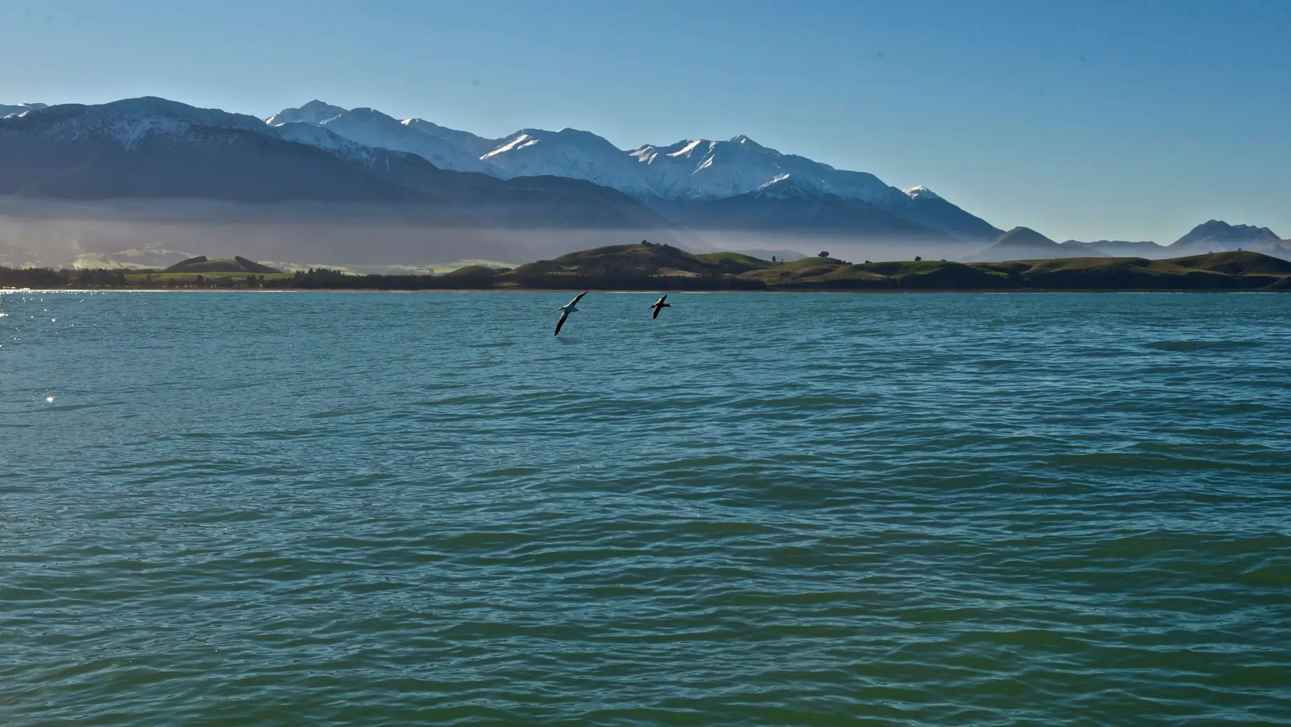Kaikoura 33