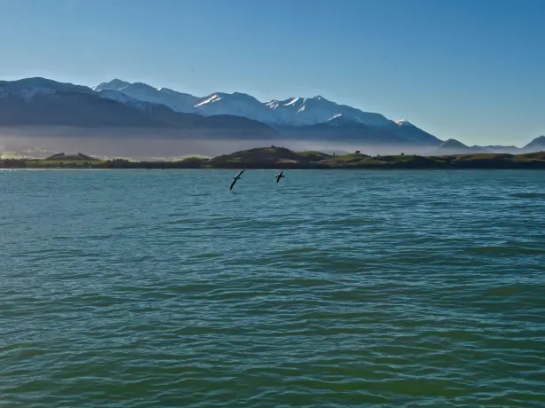 Kaikoura 33