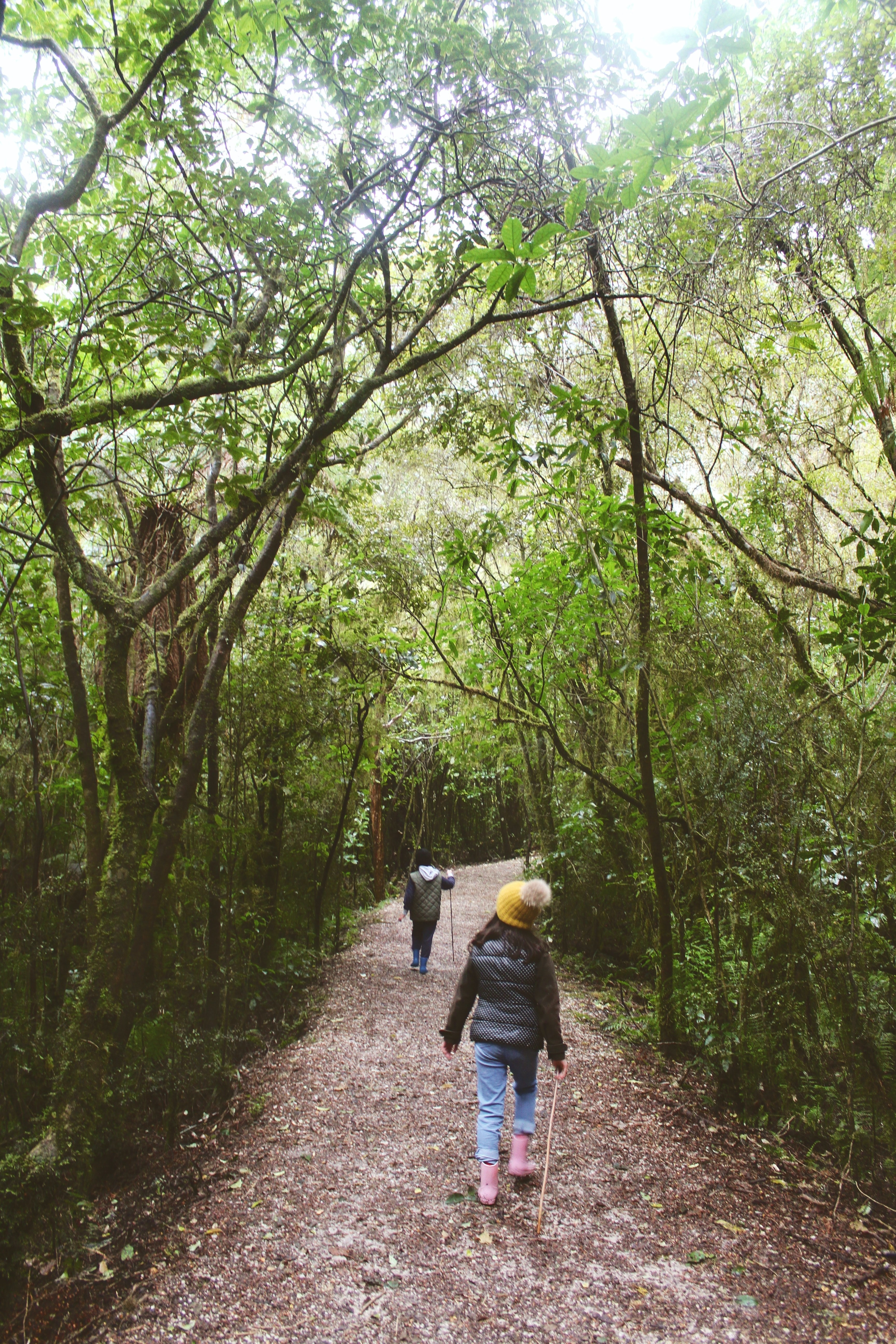 Neuseeland Riwaka Tasman Bay Kinder wandern reisen mit kind