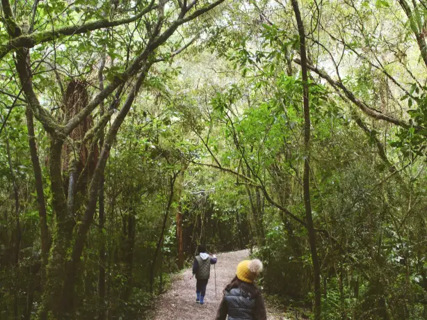 Neuseeland Riwaka Tasman Bay Kinder wandern reisen mit kind