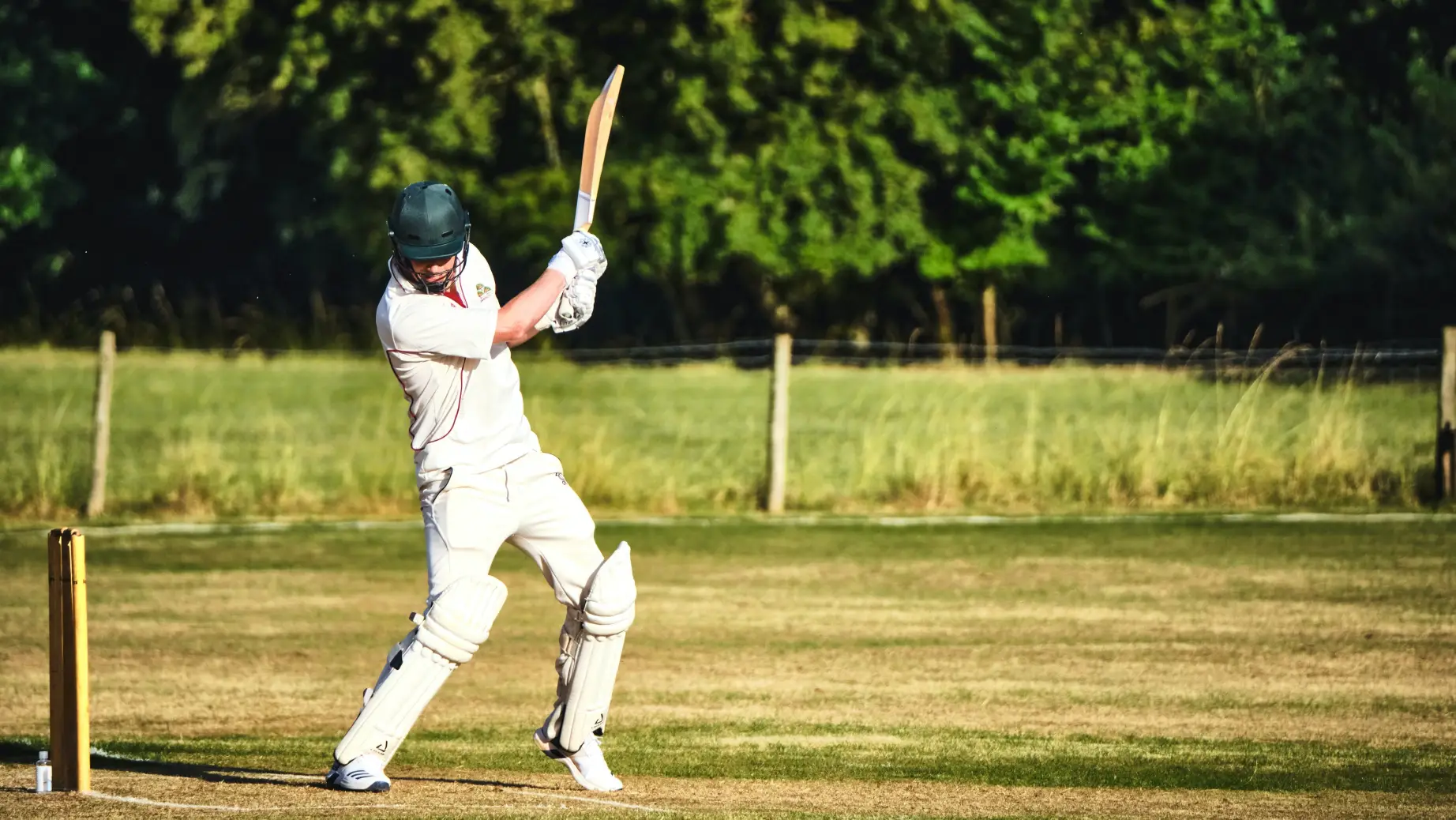cricket spieler schlag sport neuseeland australien