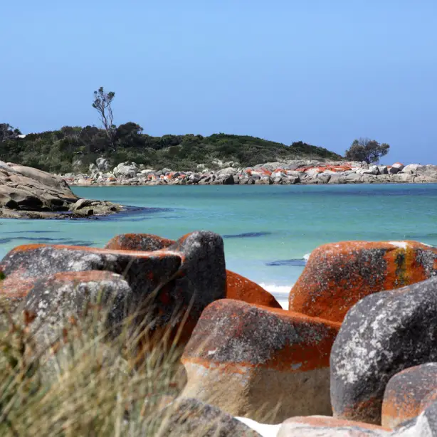 Places - Bay of Fires and St Helens