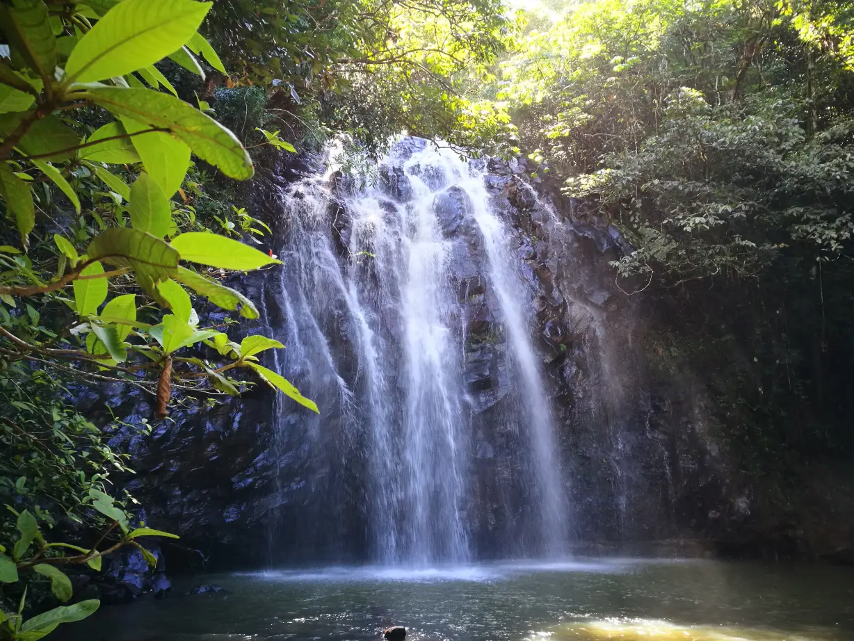 Australien Queensland Atherton Tablelands Wasserfall