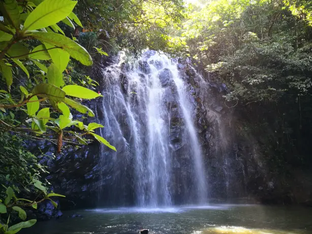 Australien Queensland Atherton Tablelands Wasserfall