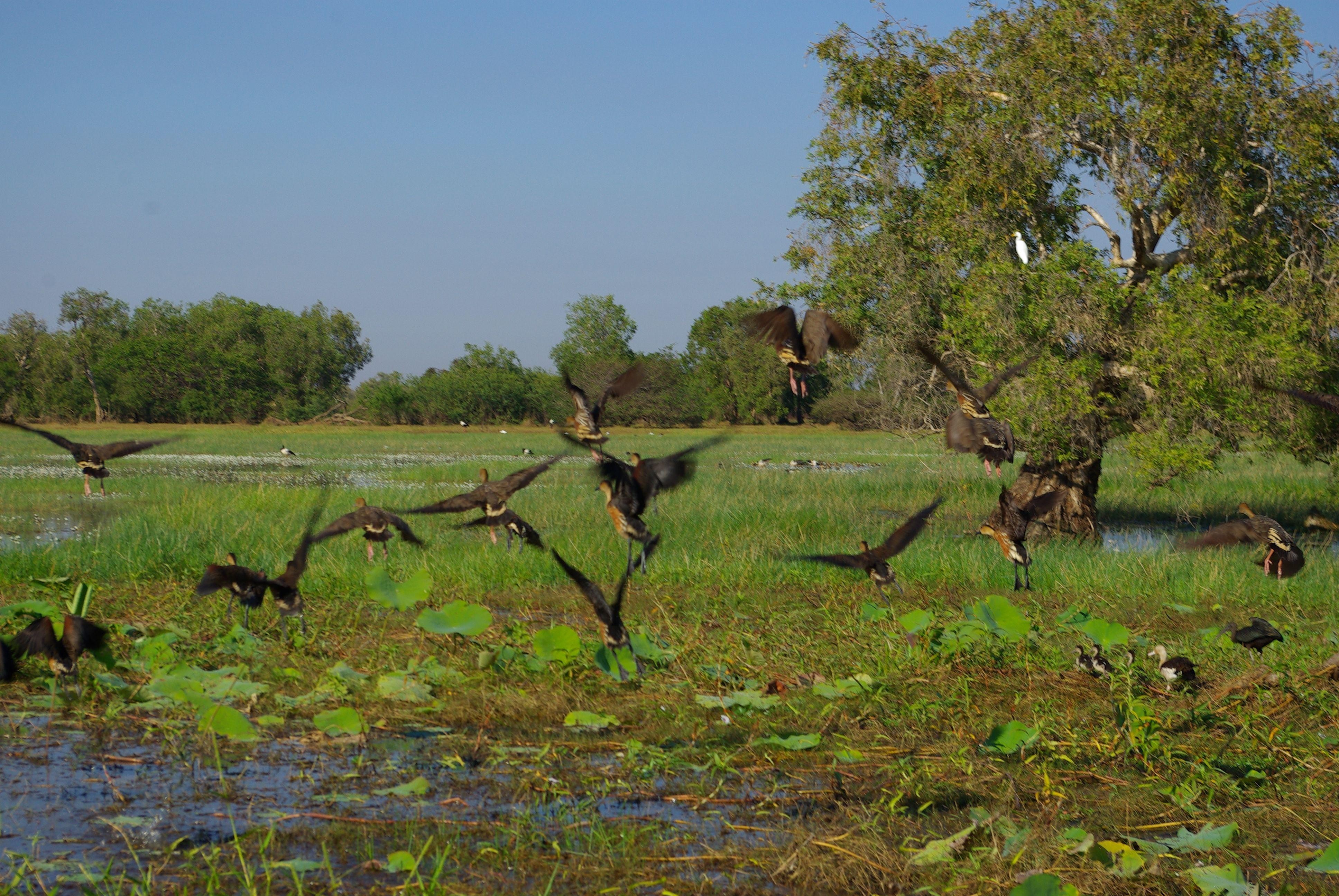 Places - South Kakadu