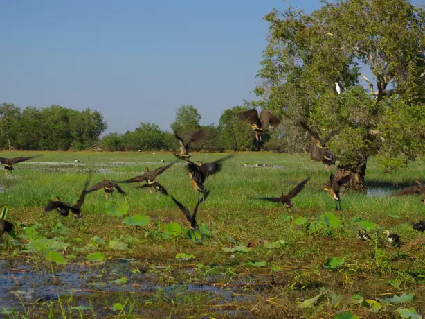 Places - South Kakadu
