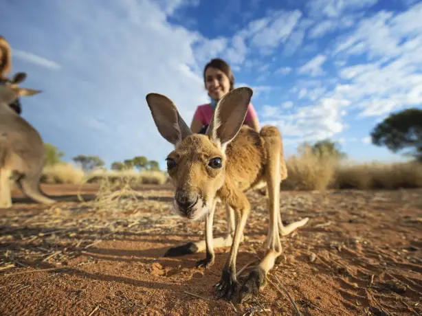 Places - Alice Springs