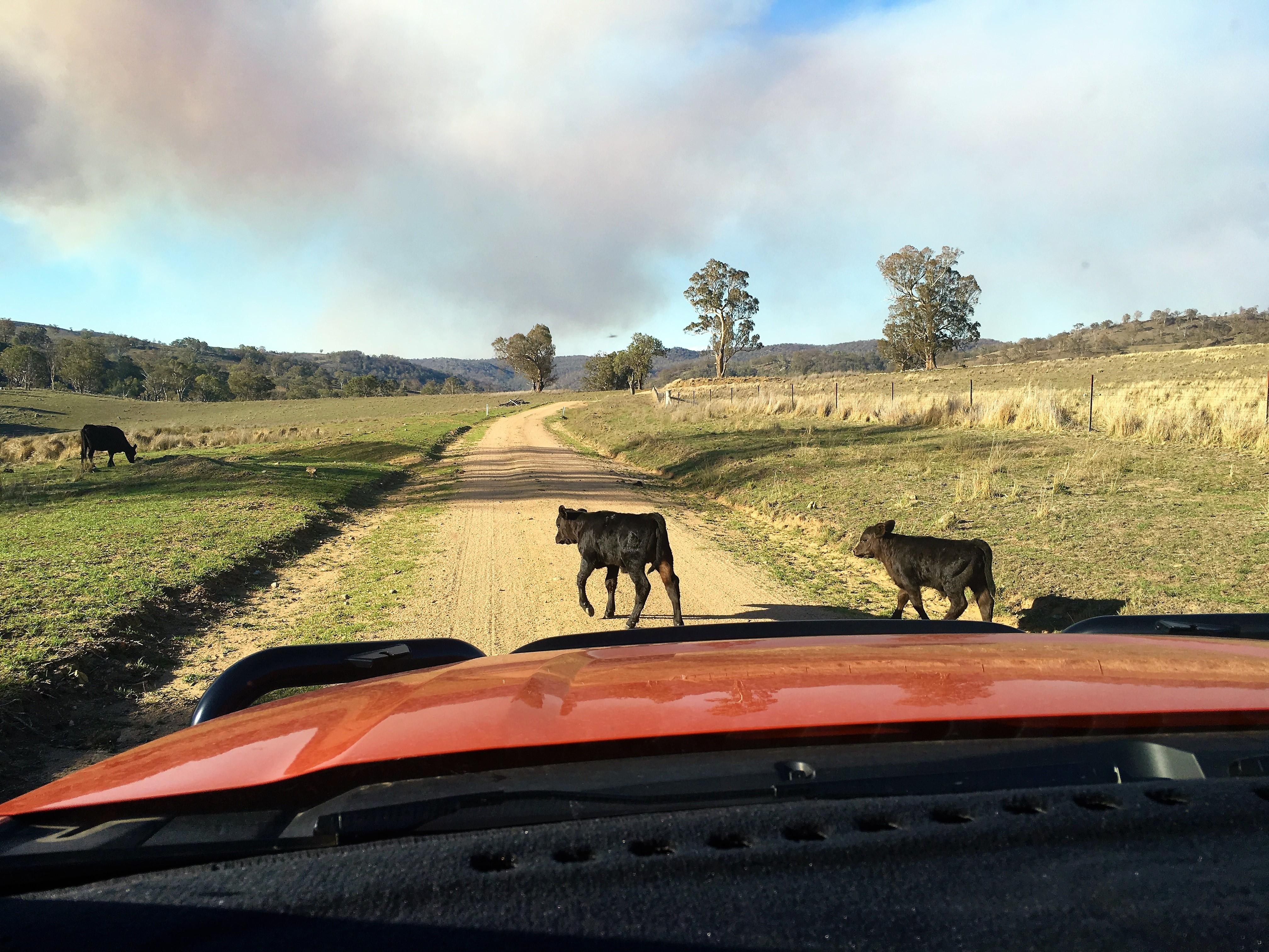 Places - Tenterfield