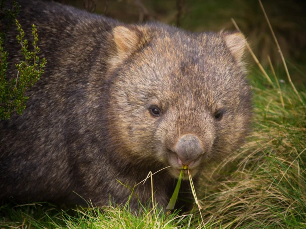 Places - South East Tasmania