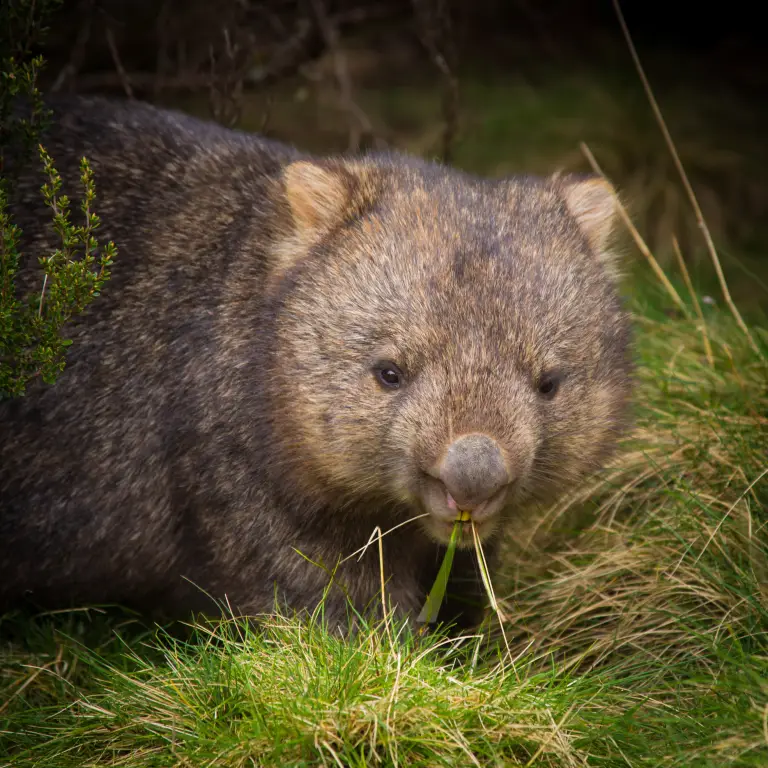 Places - South East Tasmania