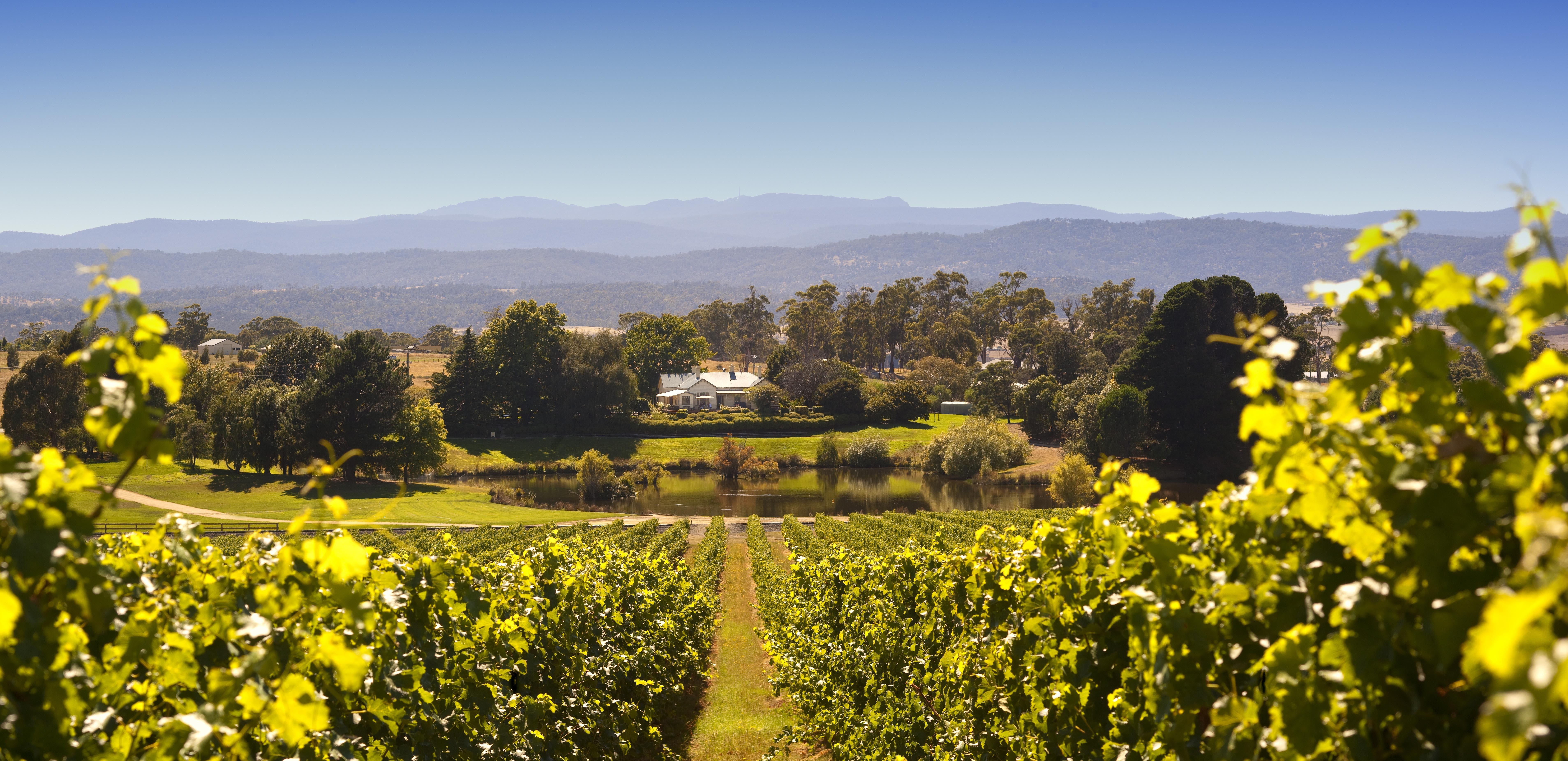 Aus tamar valley wine example trip 2