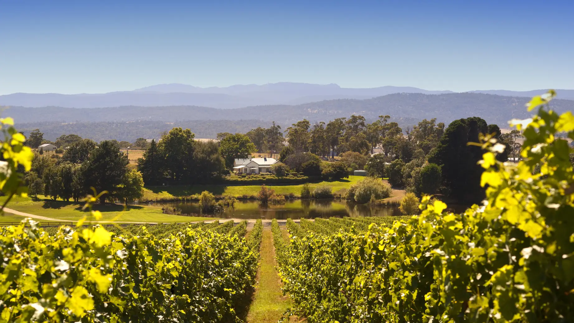 Aus tamar valley wine example trip 2