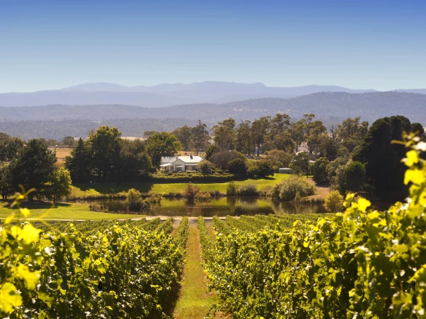 Aus tamar valley wine example trip 2
