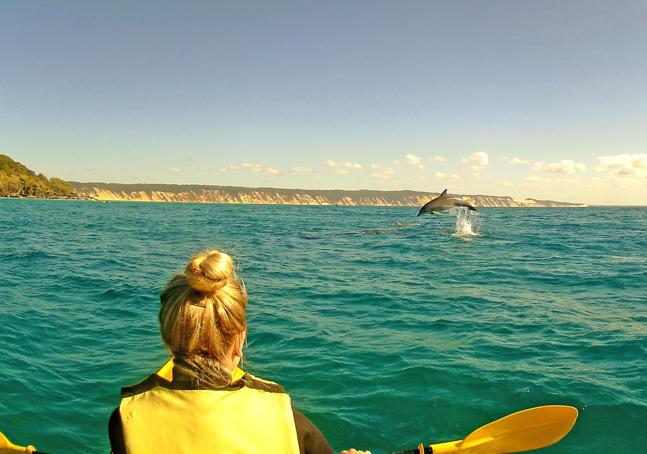 Aus dolphin view kayak example trip