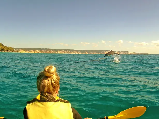 Aus dolphin view kayak example trip