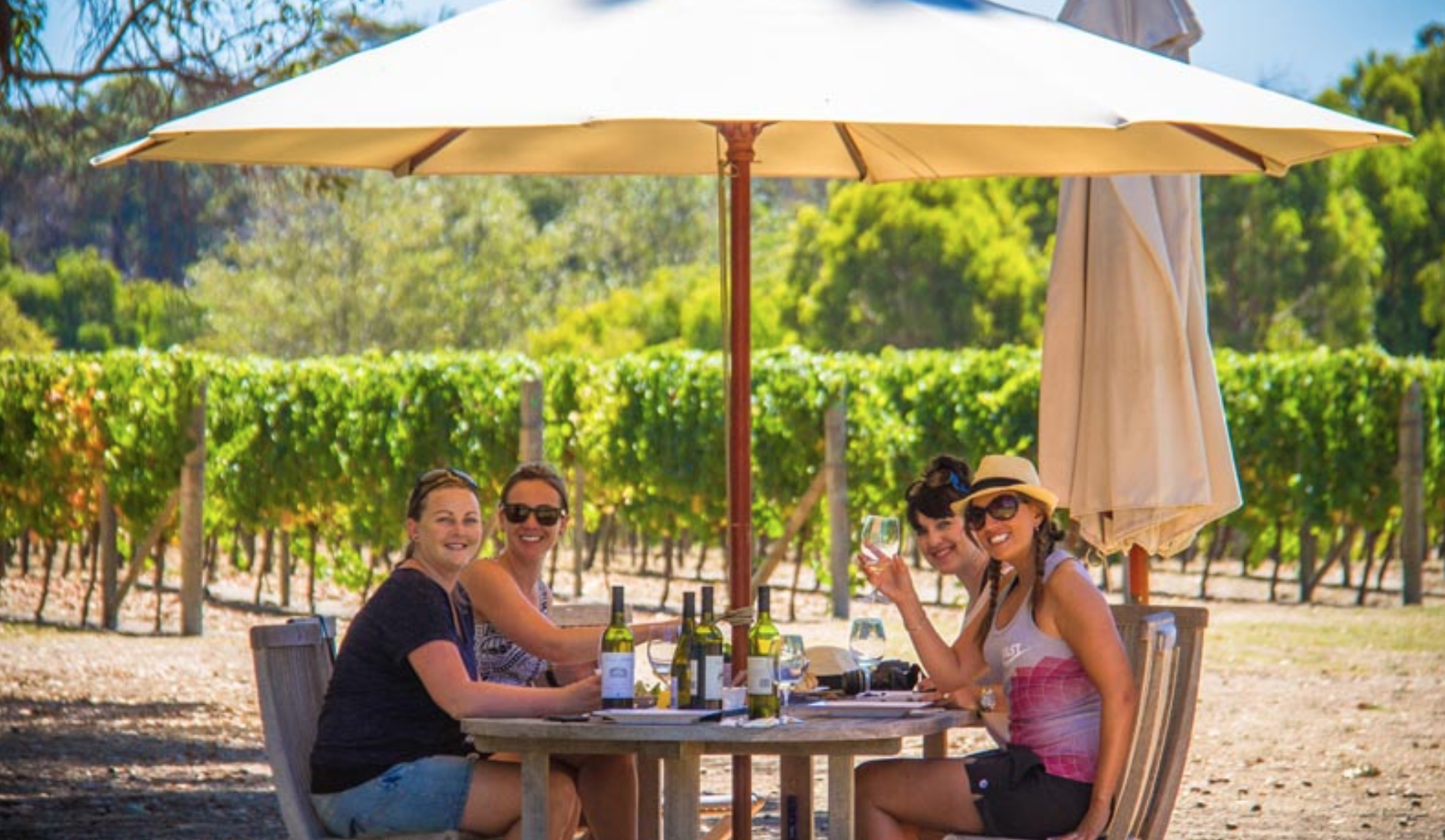 A group of friends enjoy some wine by rows of vines in a Margaret River vineyard