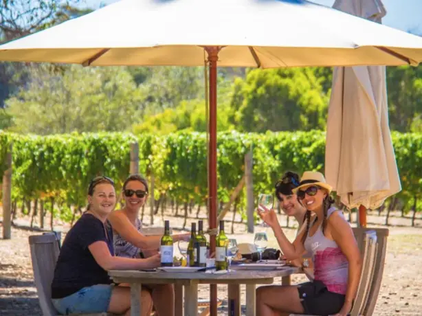 A group of friends enjoy some wine by rows of vines in a Margaret River vineyard
