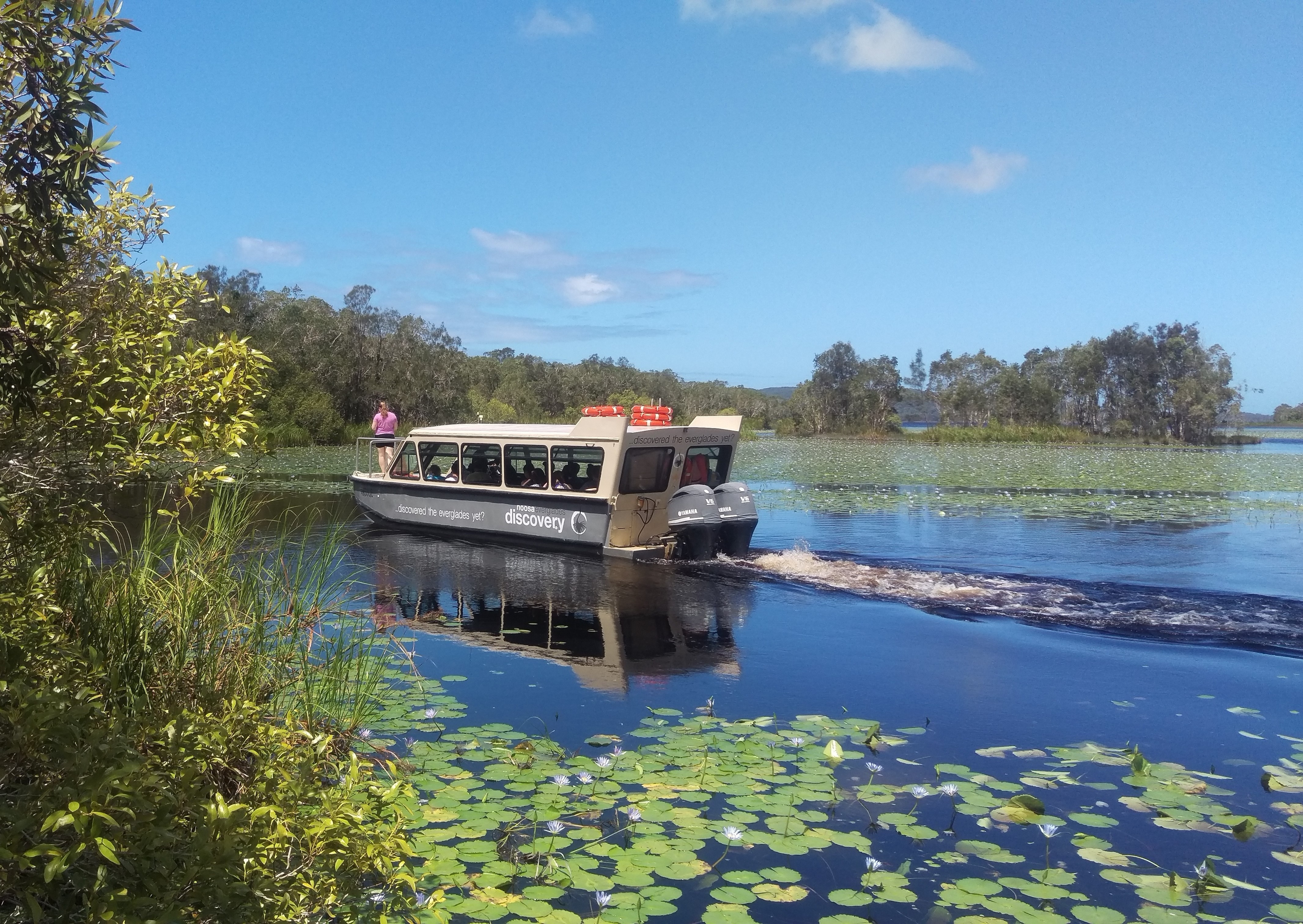 Australien Queensland Noosa everglades