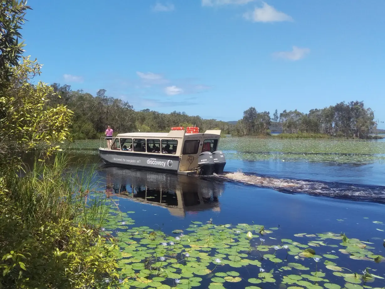 Australien Queensland Noosa everglades