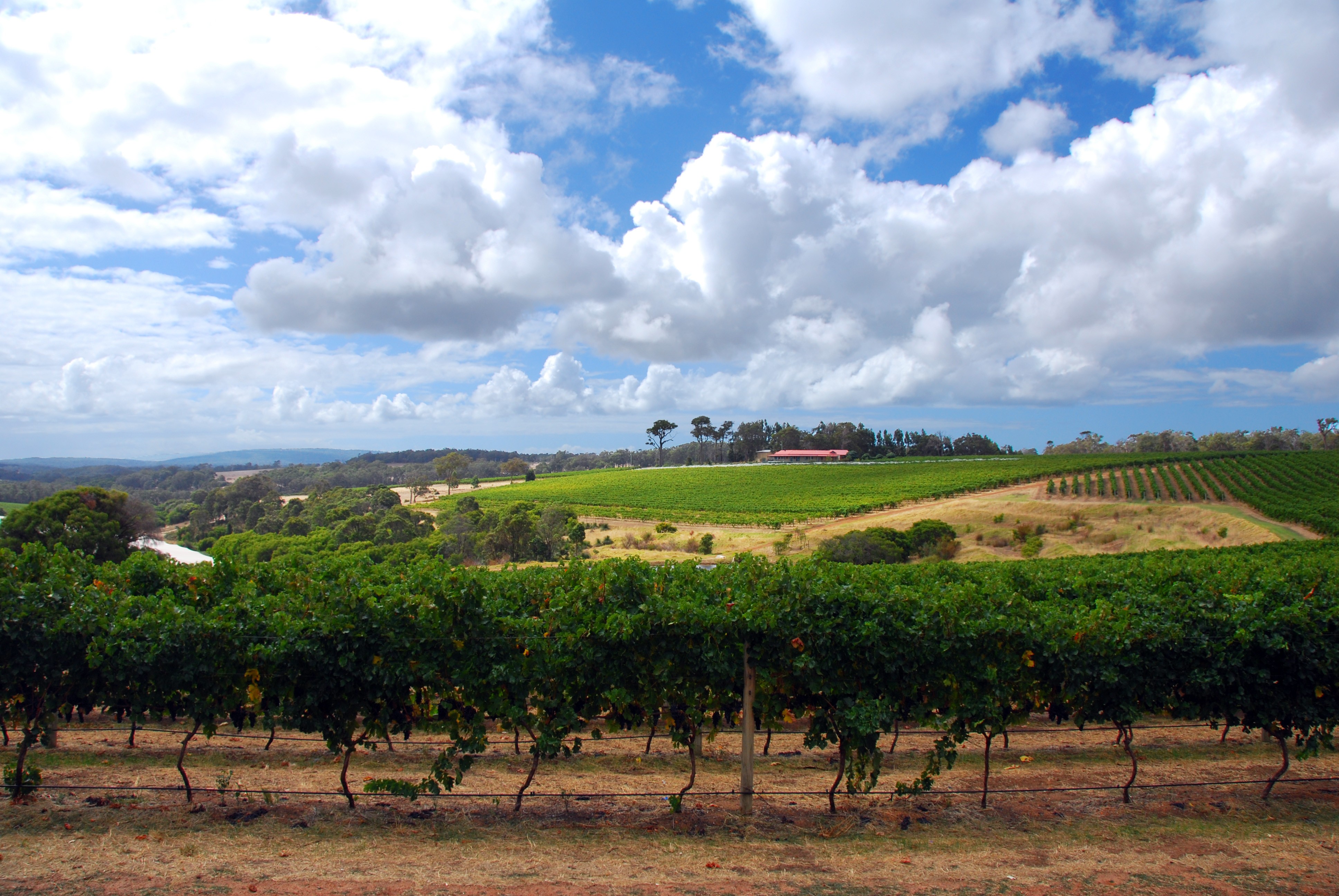 Places - Margaret River