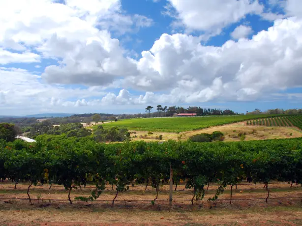 Places - Margaret River