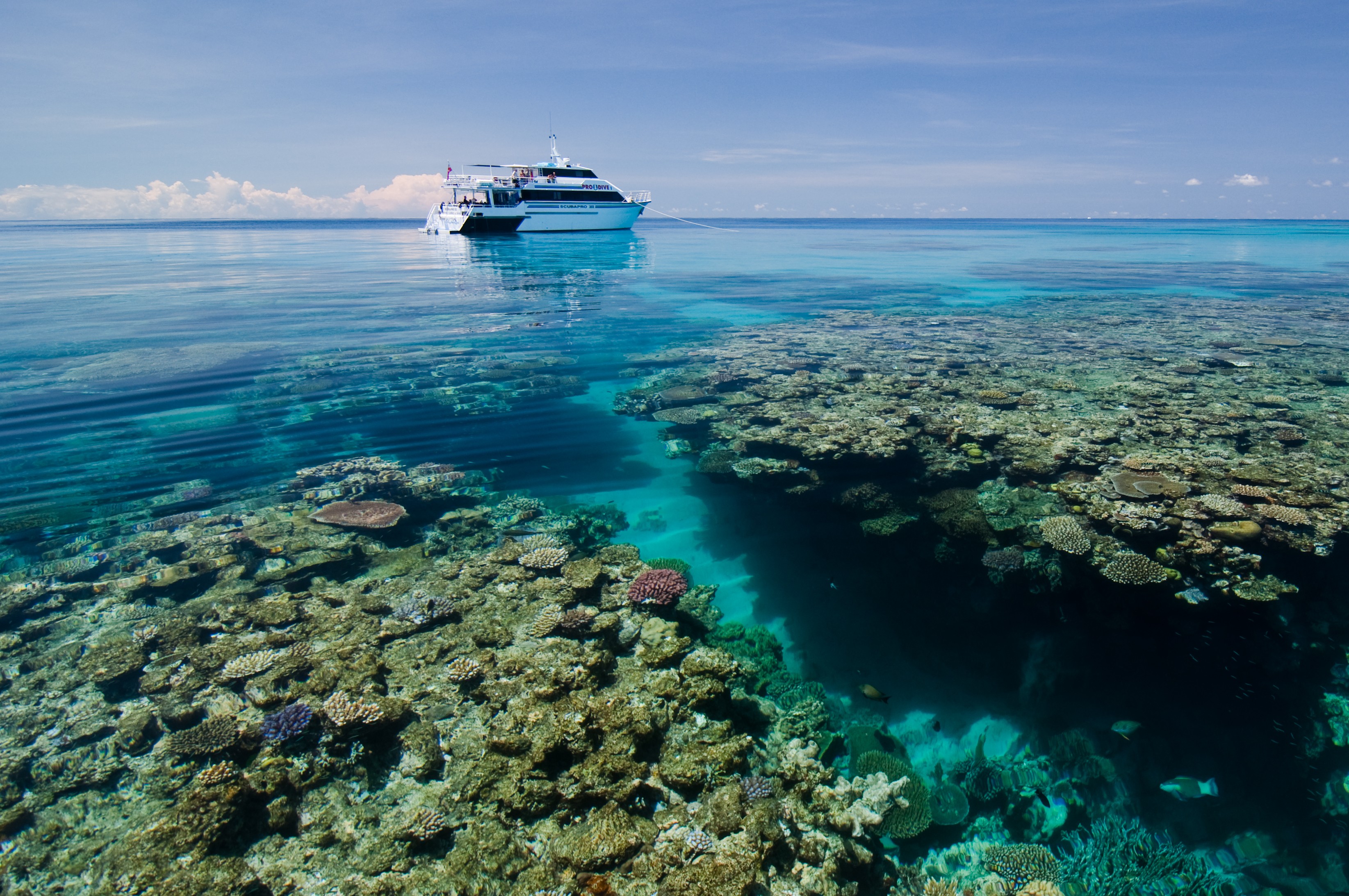 Australien Cairns Great Barrier Reef