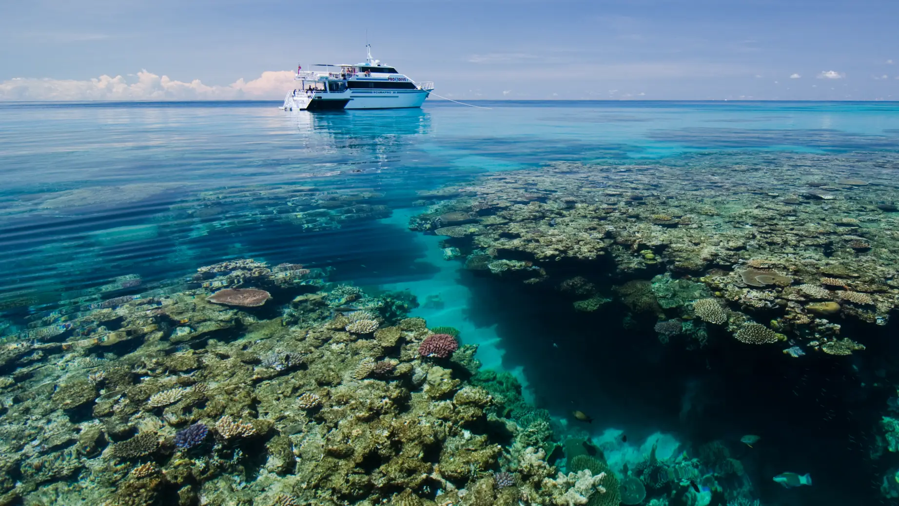 Australien Cairns Great Barrier Reef