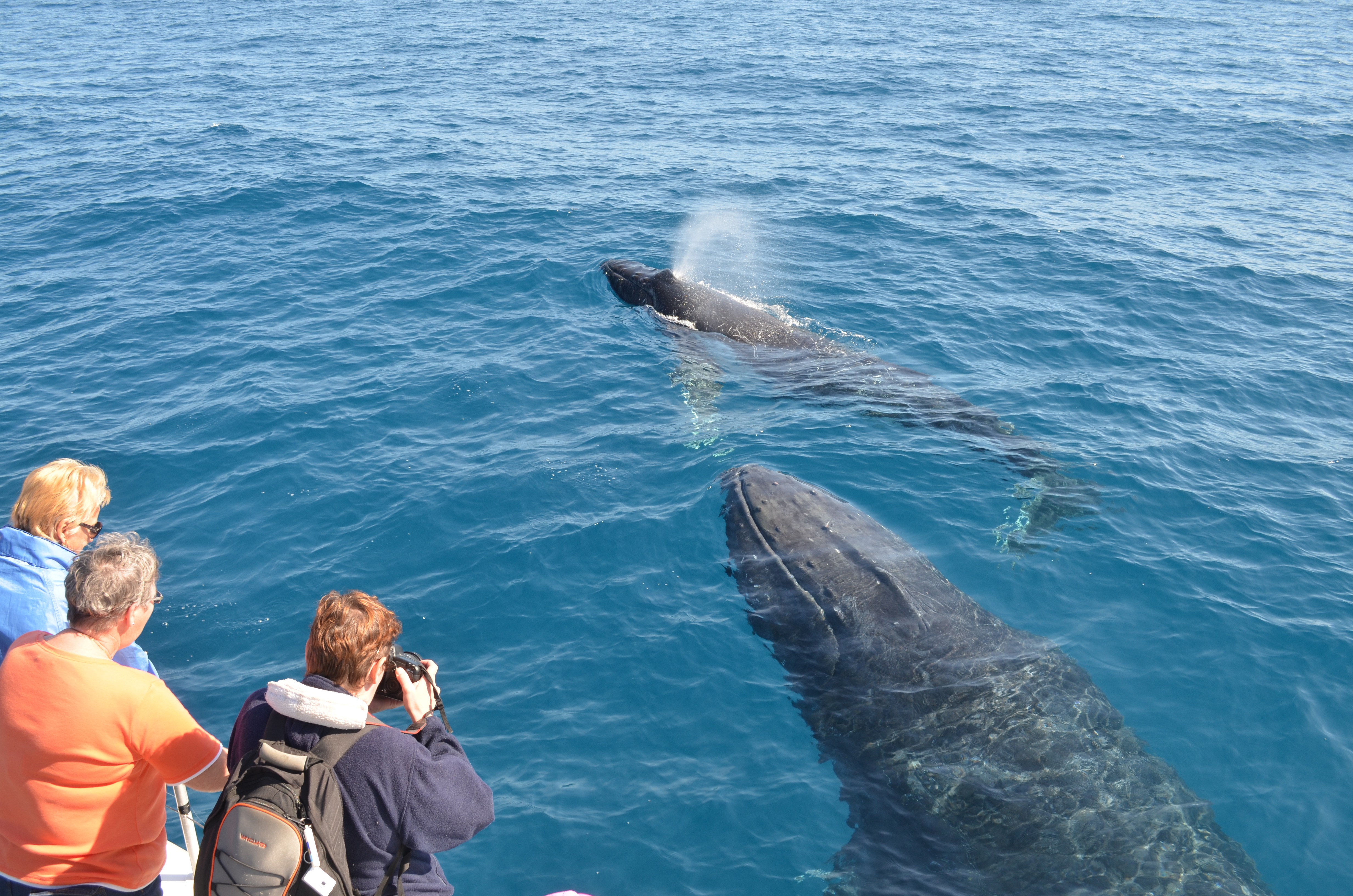 Australien Queensland Hervey Bay