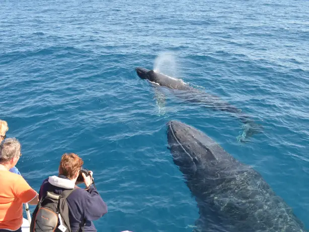 Australien Queensland Hervey Bay