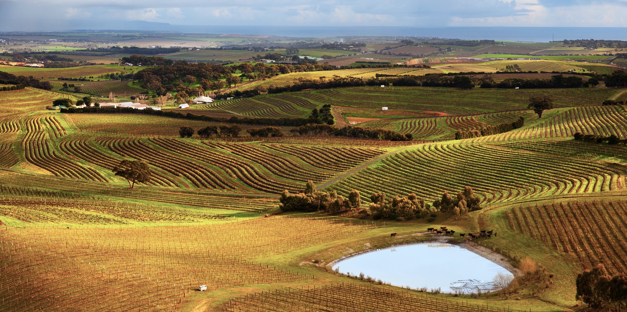 Places- Mclaren Vale