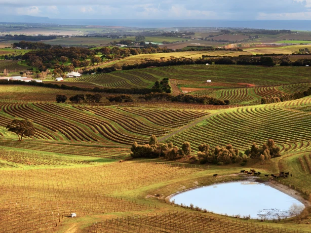 Places- Mclaren Vale
