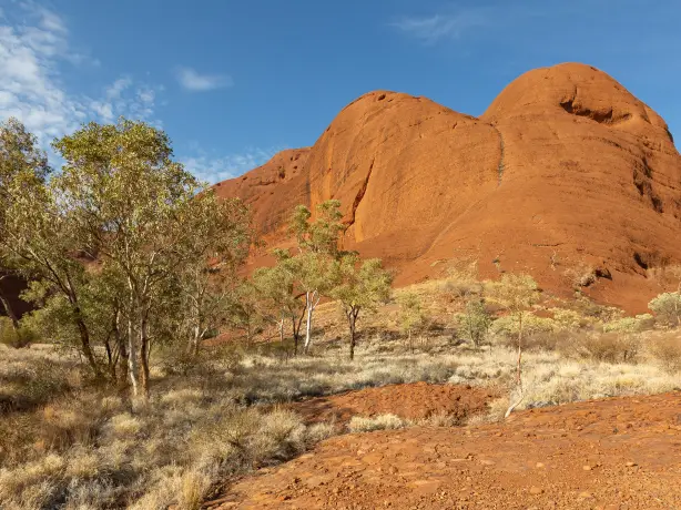 Au family best time red centre