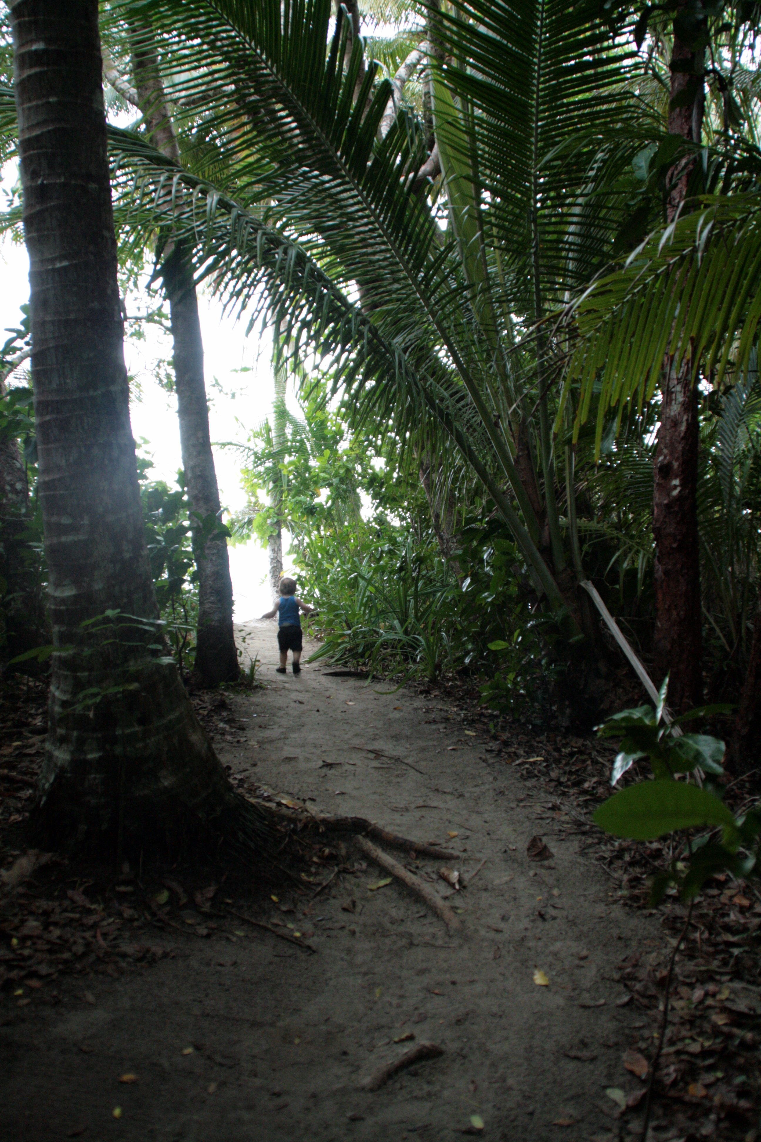 AUS North Queensland kid in rainforest