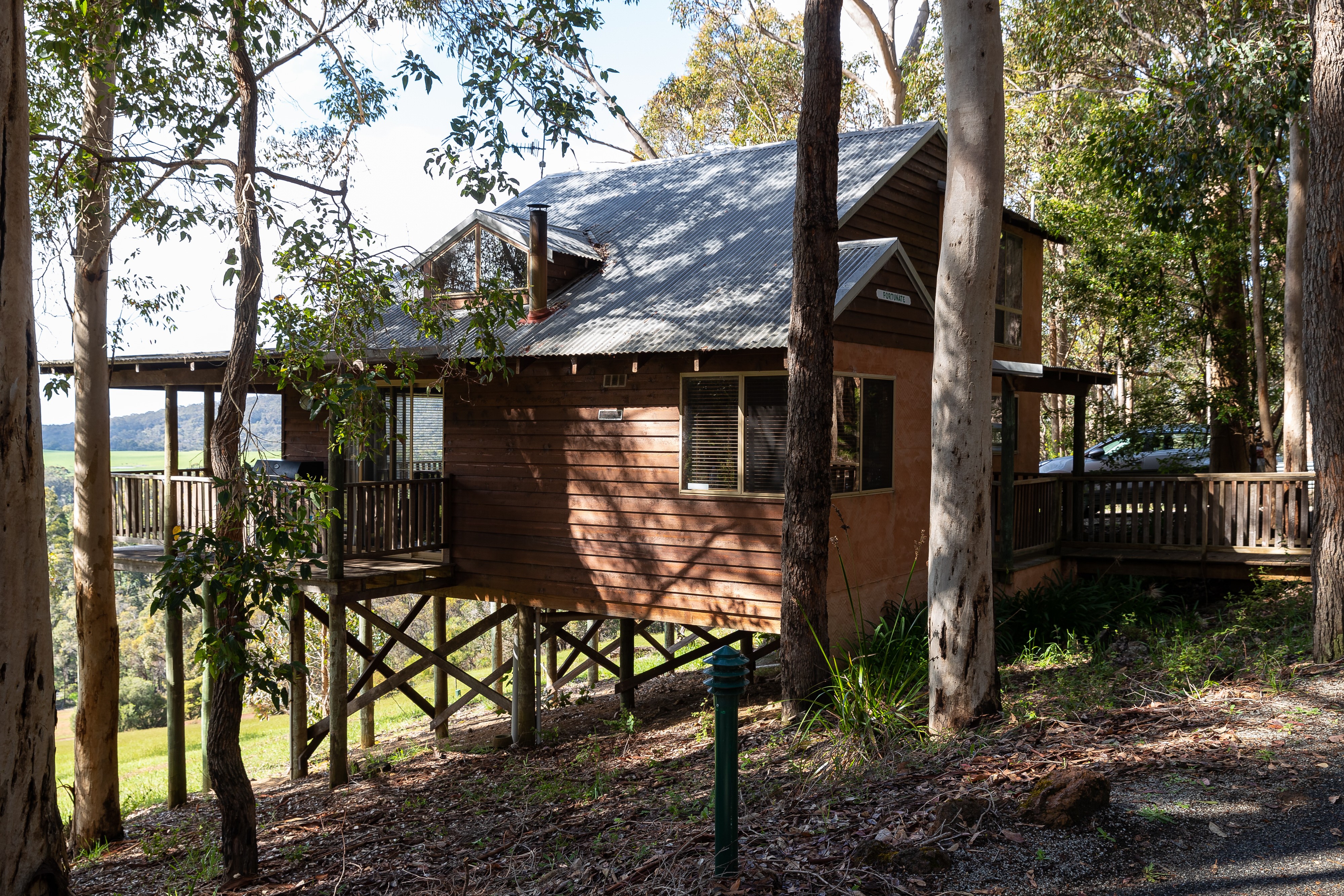 Au tree house family stays header