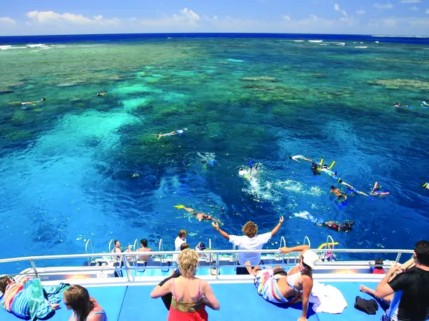 aus snorkel great barrier reef