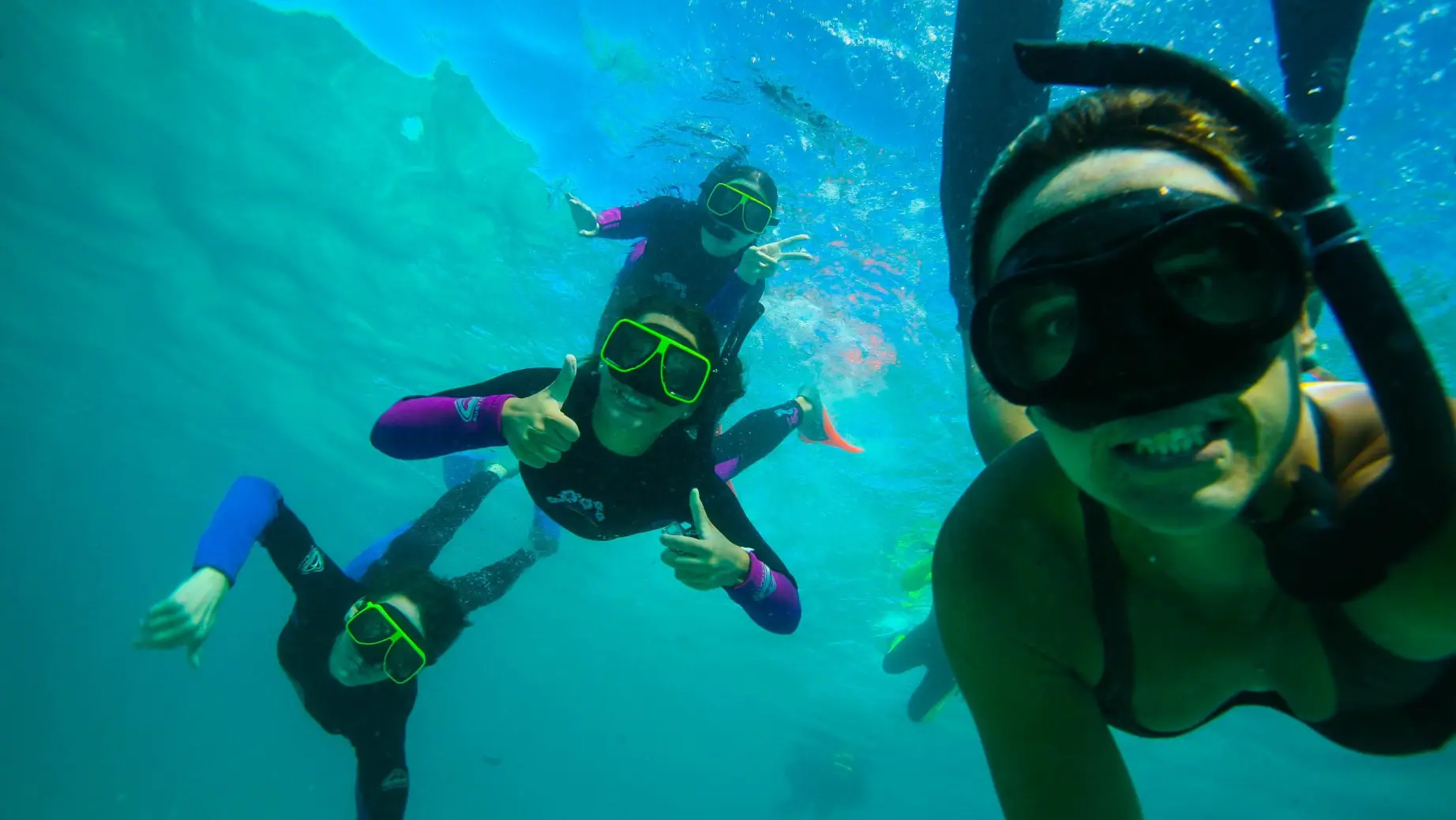 Eine Gruppe von Menschen schnorchelt und macht ein Selfie unter Wasser