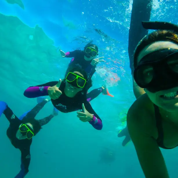 Een groep mensen snorkelt en neemt een selfie onder water