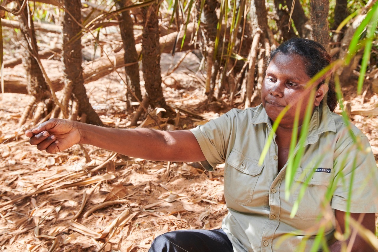 aus indigenous tour