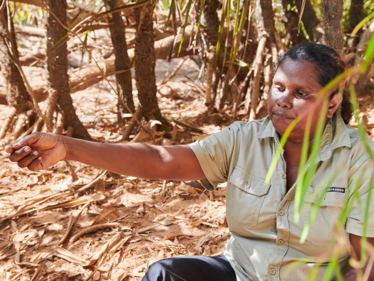 aus indigenous tour