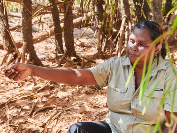 aus indigenous tour